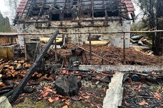 W jednej chwili stracił dorobek całego życia! Z płomieni uratował tylko psa