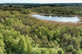 Jezioro Czarne w Lubuskiem, w gminie Świebodzin