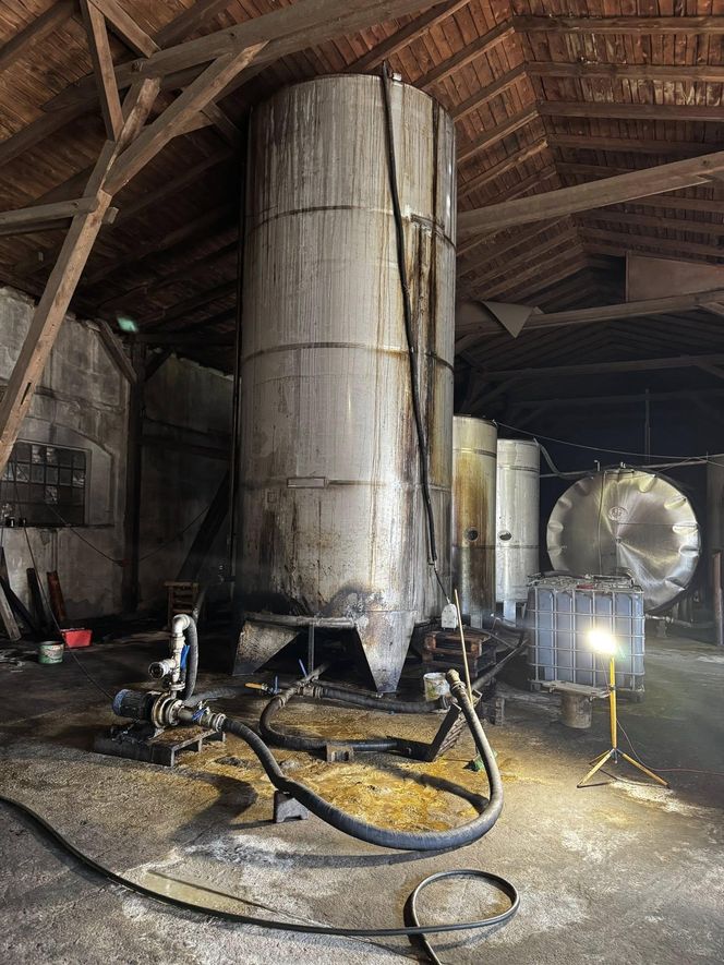 Alarm w Inowrocławiu! Ktoś zrzucił bardzo niebezpieczną substancję do kanalizacji