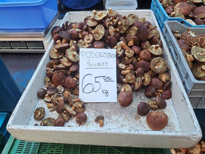 Ceny grzybów na Nowym i Starym Kleparzu w Krakowie