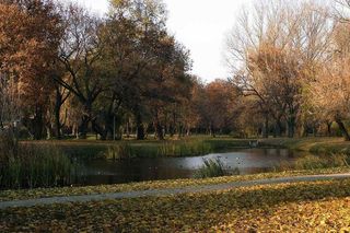 Staw w Starym Ogrodzie, jednym z najstarszych parków w Polsce