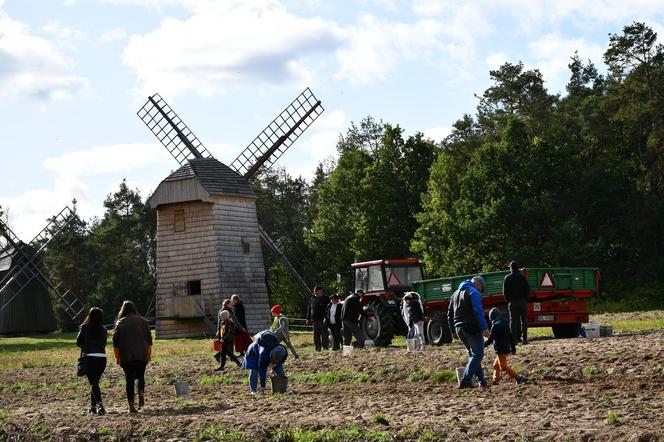 Smaki jesieni w skansenie. Zobacz, co działo się na imprezie w Olsztynku [ZDJĘCIA]