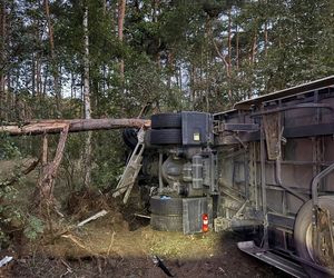 Toyota zmiażdżona przez ciężarówkę! 65-latka nie miała żadnych szans