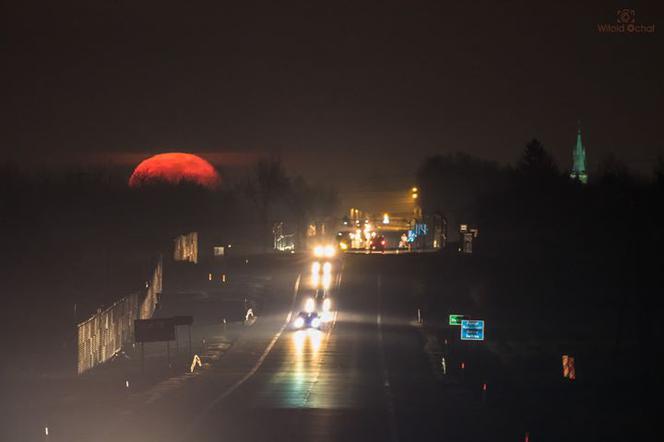 NIESAMOWITE zdjęcia z okolic Trzciany. Fotograf uchwycił wschód księżyca
