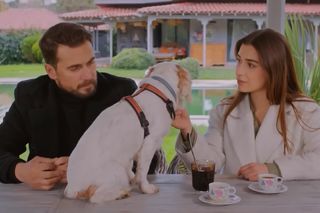 Miłość i nadzieja odc. 330. Sila, Kuzey