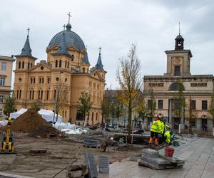 Plac Wolności coraz bardziej zielony