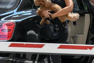 Joanna Przetakiewicz w złotej masce