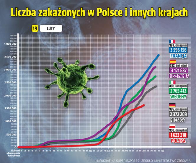 koronawirus w Polsce wykresy wirus Polska 2 19 2 2021