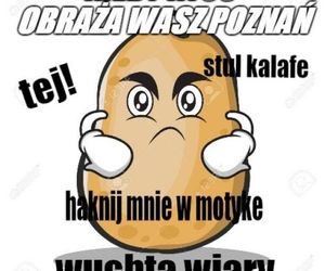 Najlepsze MEMY o Poznaniu! Z tych rzeczy śmieją się internauci