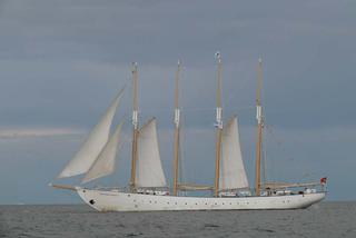ParadaZagleGdyni2014_FotMZwierz_710321