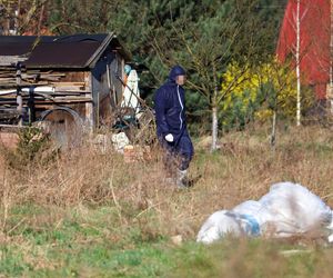 Horror koło Ostródy. Zwierzęta konały bez światła, wody i jedzenia