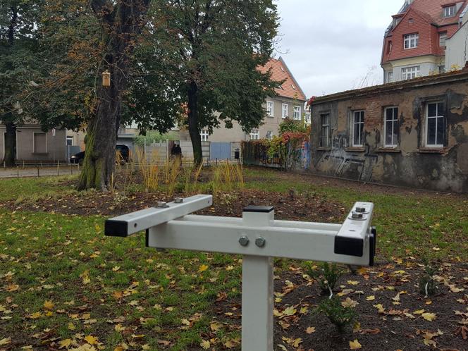 Rośliny posadzone, brakuje tylko kilku elementów. Skwer dr. Kuźniaka w Lesznie prawie gotowy