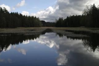 Okolice wsi Świnobród [ZDJĘCIE DNIA]