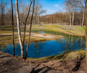 Rów Kalny w Sosnowcu znajduje się w Parku Tysiąclecia