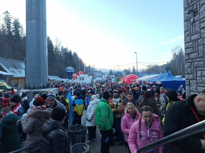 Puchar Świata w skokach narciarskich w Wiśle