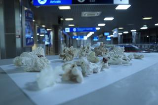 To przemycano przez podkarpacką granicę w 2022 roku