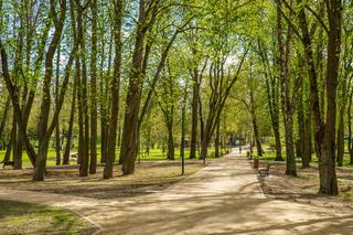   Małpi Gaj odmieniony. W Giżycku powstało nowe miejsce rekreacji i wypoczynku [ZDJĘCIA]