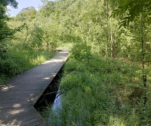 Parki podworskie w powiecie gdańskim