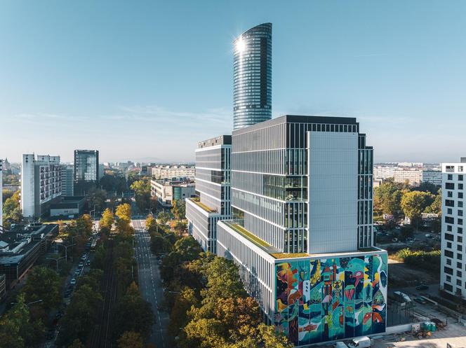 Największy mural we Wrocławiu - zdjęcia. Ma 720 m2 i oczyszcza powietrze