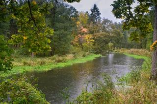 Kajakiem przez Warmię i Mazury. Te trasy są najbardziej malownicze