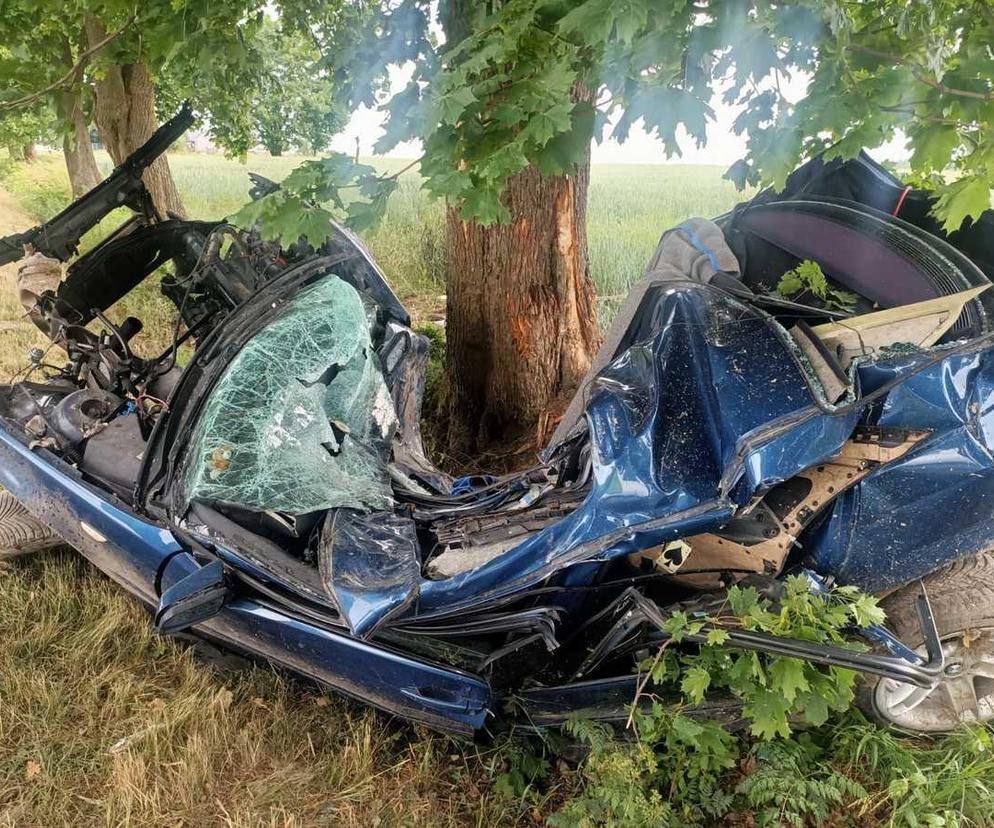 Lubelskie: BMW dosłownie zawinęło się na drzewie. Nie żyje młody mężczyzna