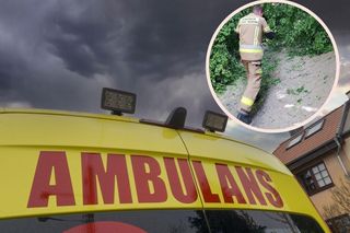 Wypadek na wycieczce szkolnej w Kazimierzu Dolnym. Na dzieci i ich opiekunów spadła gałąź