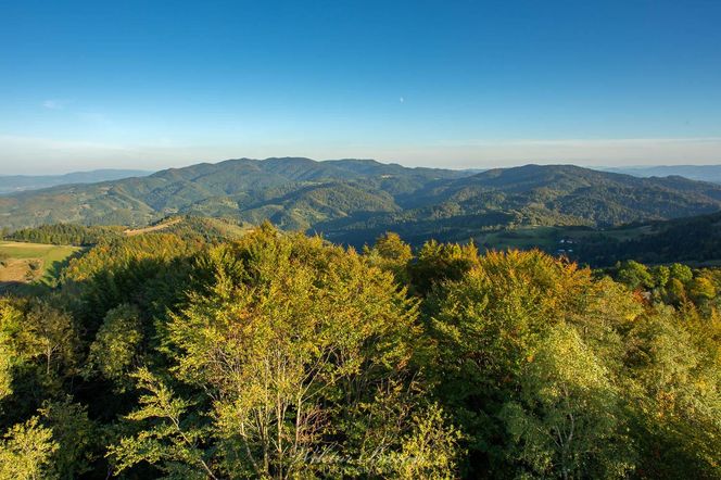 Widok z wieży na Koziarzu