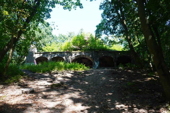 Las Arkoński