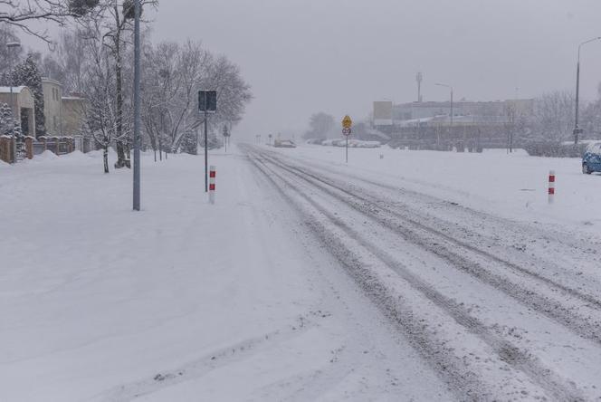  Zamordował Sylwię i powiesił sie w lesie