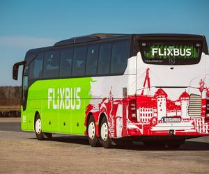 FlixBus wznawia linie sezonowe. Dokąd w wakacje pojedziemy z Łodzi?