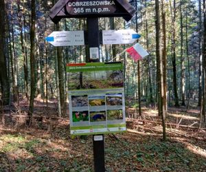 Pogańskie świątynie i obserwatorium w Świętokrzyskiem
