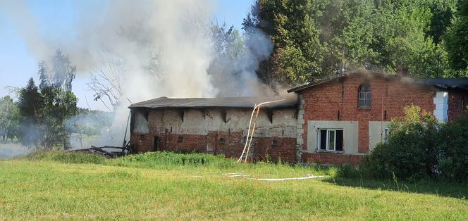 Gigantyczny pożar domu w Grudziądzu! Na miejscu 13 zastępów straży pożarnej [ZDJĘCIA]