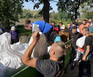  ZOO Wrocław. Umacnianie wałów, układanie worków z piaskiem