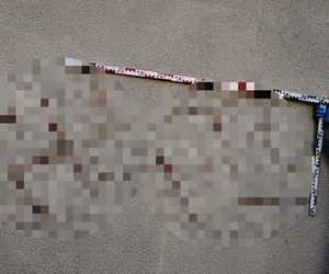 Hanau. Swastyki z ludzkiej krwi na 50 samochodach [ZDJĘCIA].