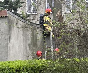 Ktoś podpalił zabytkową drewnianą mającą 208 lat dzwonnicę