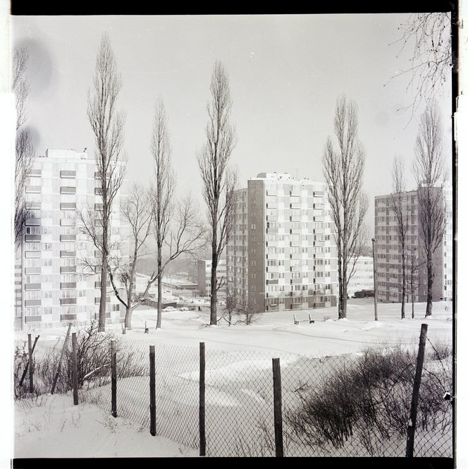 Zielona Góra w zimowej aurze. Czesław Łuniewicz uchwycił zimę kilkadziesiąt lat temu na fotografiach