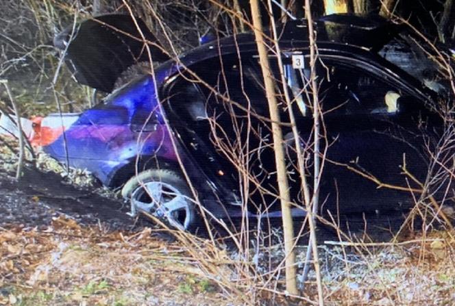 Wypadek BMW w Półsierakowie. Zginęły dwie osoby [GALERIA]