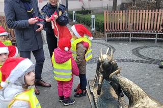 Poznańskie koziołki w świątecznych kubrakach