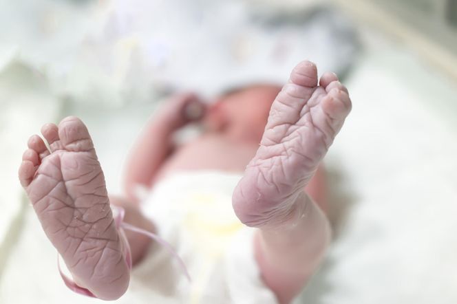 Nerki pobierają zmarłym noworodkom. Kontrowersyjna szansa dla transplantologii