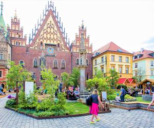 Jarmark Świętojański we Wrocławiu już niebawem. Przed nami koncerty, spotkania kulinarne i konkursy