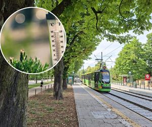Jak na wysokie temperatury jest przygotowana poznańska komunikacja miejska?