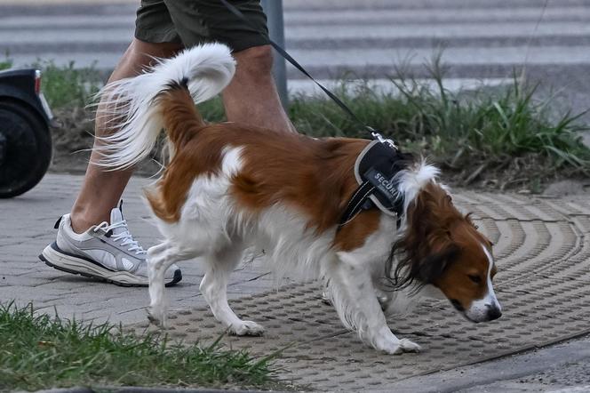 Jan Wieczorkowski wziął sprawy w swoje ręce