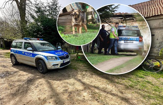 Pies zjadł narzędzie przestępstwa? Policja szuka kości, którą żona zraniła męża