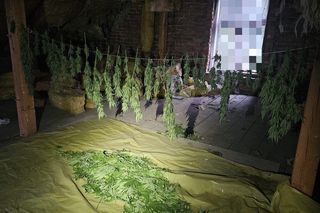 Tarnowscy policjanci zatrzymali 31-latka z dużą ilością narkotyków