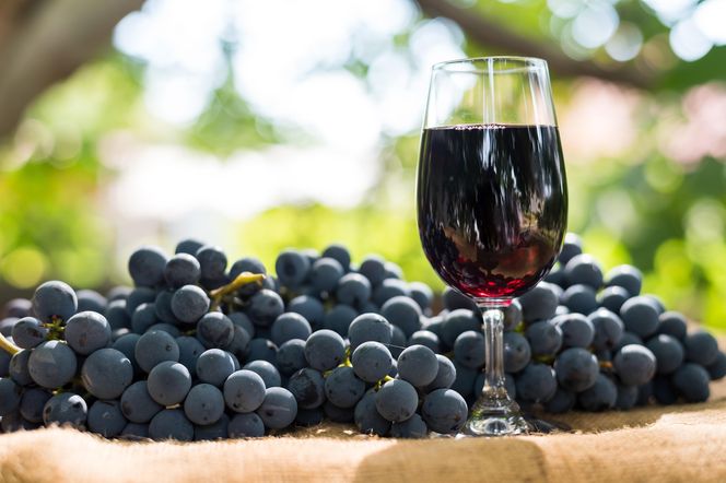 Wino z ogrodowych winogron – łatwy przepis dla początkujących winiarzy