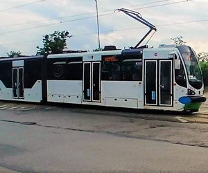 Będą nowe, dwukierunkowe tramwaje. Miasto kupi ich cztery, a może nawet dwanaście