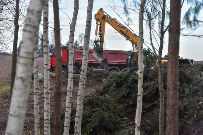 Trwa budowa wielkiego pomnika Matki Boskiej. Sprawdziliśmy postępy
