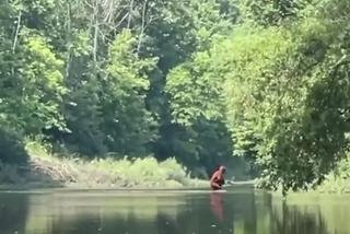 Yeti uwieczniony na filmie!