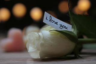 Kartki na walentynki 14 lutego 2023 z życzeniami. Pobierz bezpłatną grafikę i wyślij swojej drugiej połówce