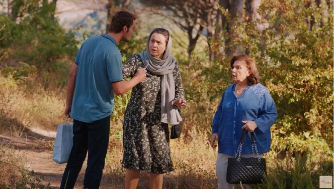 Miłość i nadzieja odc. 259. Alper, Naciye, Cavidan